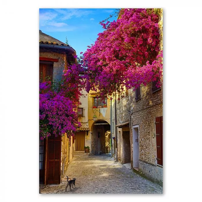 Eine enge Gasse in Italien, geschmückt mit üppigen, pinken Bougainvillea-Blüten, strahlt mediterranes Flair aus.